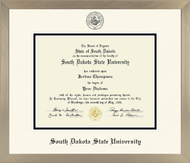South Dakota State University diploma frame - Icon in Light Champagne