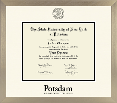 State University of New York at Potsdam diploma frame - Icon in Light Champagne