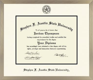 Stephen F. Austin State University diploma frame - Icon in Light Champagne