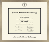 Stevens Institute of Technology diploma frame - Icon in Light Champagne