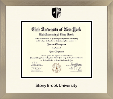 Stony Brook University diploma frame - Icon in Light Champagne