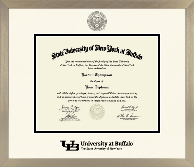 University at Buffalo diploma frame - Icon in Light Champagne
