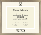 Stetson University diploma frame - Icon in Light Champagne