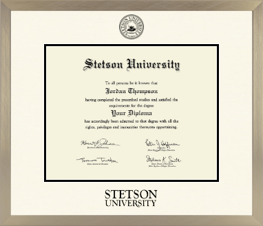 Stetson University diploma frame - Icon in Light Champagne