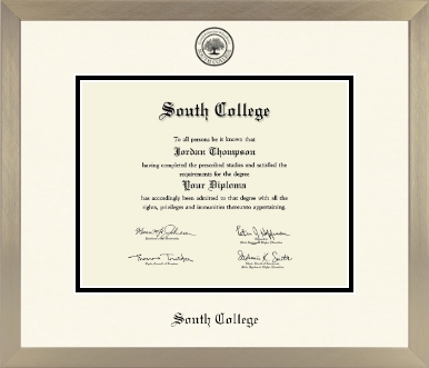South College diploma frame - Icon in Light Champagne