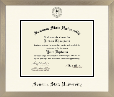 Sonoma State University diploma frame - Icon in Light Champagne
