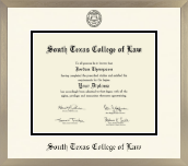 South Texas College of Law diploma frame - Icon in Light Champagne