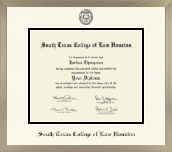 South Texas College of Law Houston diploma frame - Icon in Light Champagne