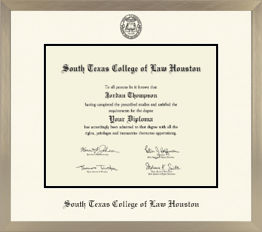 South Texas College of Law Houston diploma frame - Icon in Light Champagne