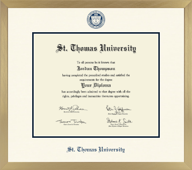 St. Thomas University diploma frame - Icon in Chardonnay