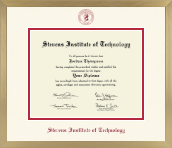 Stevens Institute of Technology diploma frame - Icon in Chardonnay