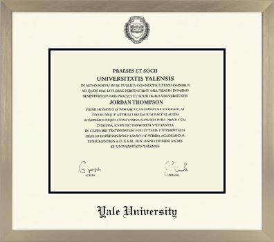 Yale University diploma frame - Icon in Light Champagne