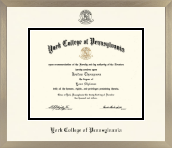 York College of Pennsylvania diploma frame - Icon in Light Champagne