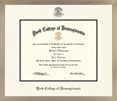 York College of Pennsylvania diploma frame - Icon in Light Champagne