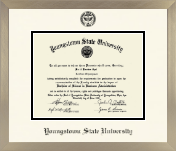 Youngstown State University diploma frame - Icon in Light Champagne