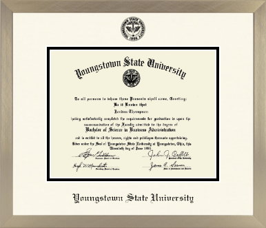 Youngstown State University diploma frame - Icon in Light Champagne