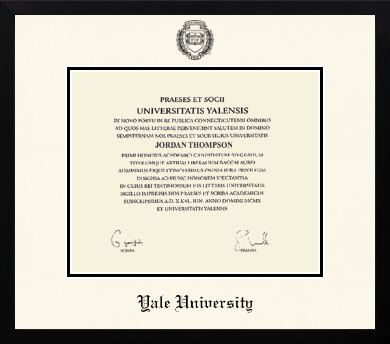 Yale University diploma frame - Icon in Gotham