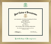 York College of Pennsylvania diploma frame - Icon in Chardonnay