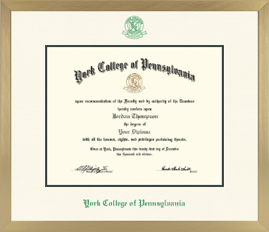 York College of Pennsylvania diploma frame - Icon in Chardonnay
