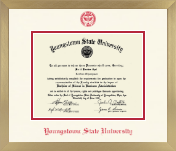 Youngstown State University diploma frame - Icon in Chardonnay