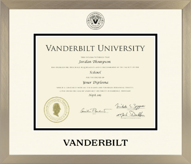 Vanderbilt University diploma frame - Icon in Light Champagne