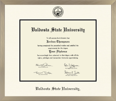 Valdosta State University diploma frame - Icon in Light Champagne