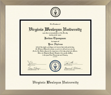 Virginia Wesleyan University diploma frame - Icon in Light Champagne