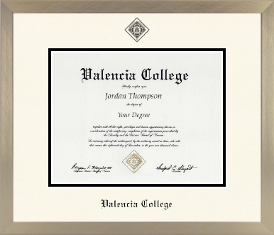 Valencia College diploma frame - Icon in Light Champagne