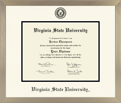 Virginia State University diploma frame - Icon in Light Champagne