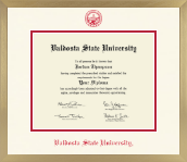 Valdosta State University diploma frame - Icon in Chardonnay