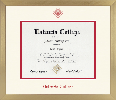 Valencia College diploma frame - Icon in Chardonnay