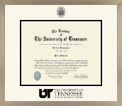 The University of Tennessee Health Science Center Memphis diploma frame - Icon in Light Champagne