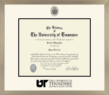 The University of Tennessee Health Science Center Memphis diploma frame - Icon in Light Champagne