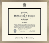 The University of Tennessee Knoxville diploma frame - Icon in Light Champagne