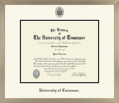 The University of Tennessee Knoxville diploma frame - Icon in Light Champagne