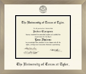 The University of Texas at Tyler diploma frame - Icon in Light Champagne