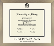 University at Albany State University of New York diploma frame - Icon in Light Champagne