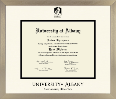 University at Albany State University of New York diploma frame - Icon in Light Champagne