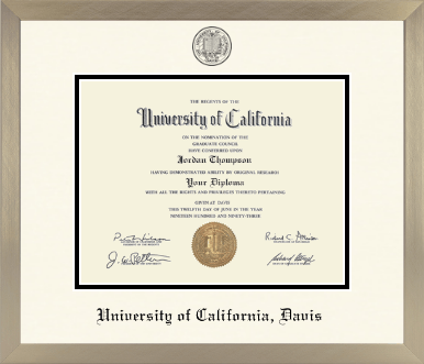 University of California Davis diploma frame - Icon in Light Champagne