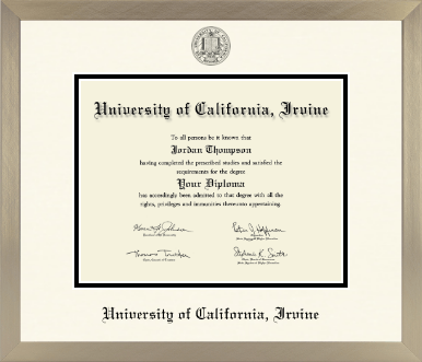 University of California Irvine diploma frame - Icon in Light Champagne