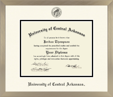University of Central Arkansas diploma frame - Icon in Light Champagne