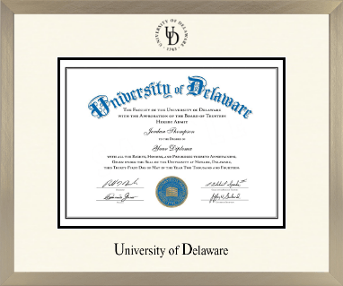University of Delaware diploma frame - Icon in Light Champagne