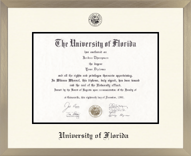 University of Florida diploma frame - Icon in Light Champagne