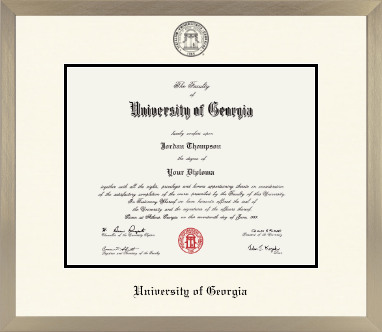 University of Georgia diploma frame - Icon in Light Champagne
