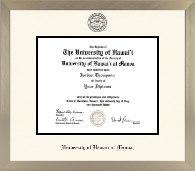 University of Hawaii at Manoa diploma frame - Icon in Light Champagne