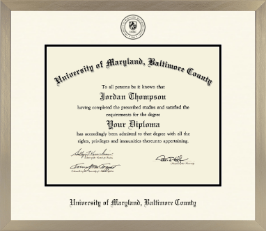 University of Maryland, Baltimore County diploma frame - Icon in Light Champagne