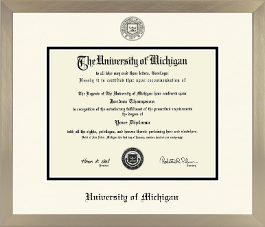 University of Michigan diploma frame - Icon in Light Champagne