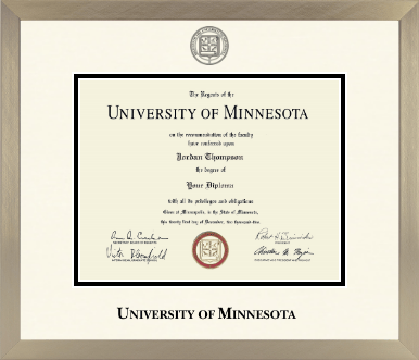 University of Minnesota diploma frame - Icon in Light Champagne