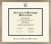 University of Mississippi Medical Center diploma frame - Icon in Light Champagne