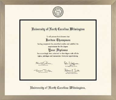 University of North Carolina Wilmington diploma frame - Icon in Light Champagne